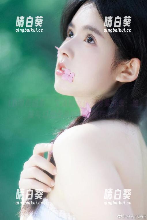 LD零度摄影 - 文洁的女仆写真集分享：唯美与幻想交织的艺术旅程.txt