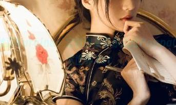 探秘赛蕾丝汀Kuroinu：定制图集带你走进PoppaChan的艺术世界.txt