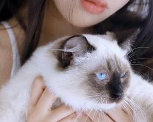 XINGYAN星颜社 – 发现Vily豆豆短裤写真资源，教你如何搭配出街头潮流！.txt