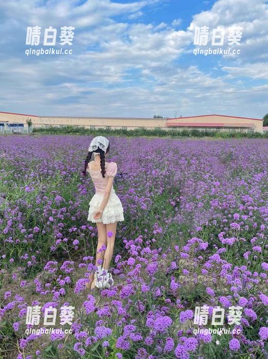 beautyleg - 温馨似水，Flora泳池写真集原图分享，让你沉醉阳光下.txt