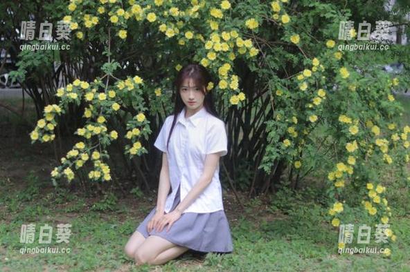 けん研(けんけん)Fantia2024年写真精选合集：用美与艺术谱写精彩人生.txt