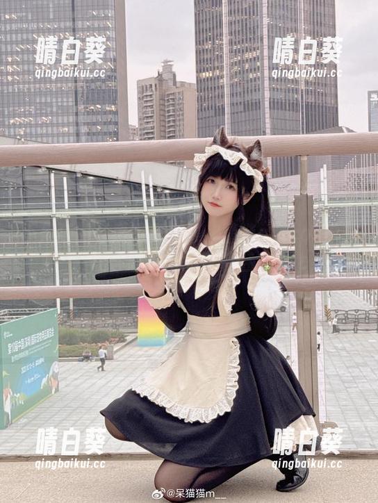 不呆猫的可爱写真合集：精选aiscos原图，让你感受她的独特魅力.txt