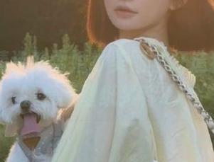 丽柜 – 精选韩雪婚纱美图，打造独特风格的桌面壁纸推荐.txt