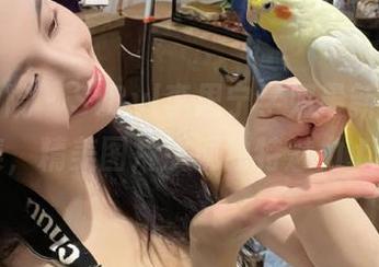 模范学院 – SiByl李思宁学姐最新写真合集，精美图片展现独特魅力.txt