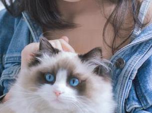 微密圈 – 最新写真大揭秘！猪小七短裙造型，惊艳你的视觉盛宴！.txt