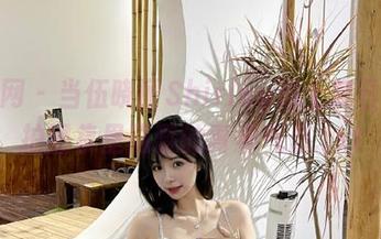 秀人网 – 当伍晓丽Shirley遇上夏日：私拍图集里隐藏的青春气息.txt