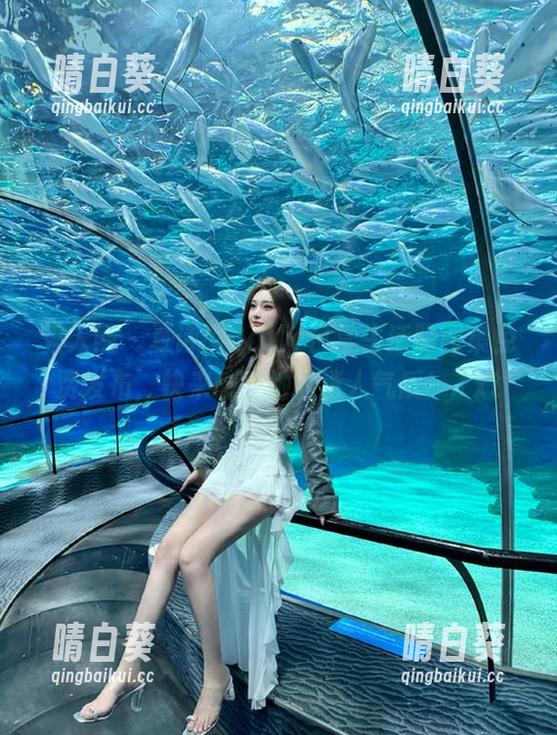 秀人网 - 夏诗诗Sally日常生活照图集免费发布，快来感受她的迷人气质！.txt